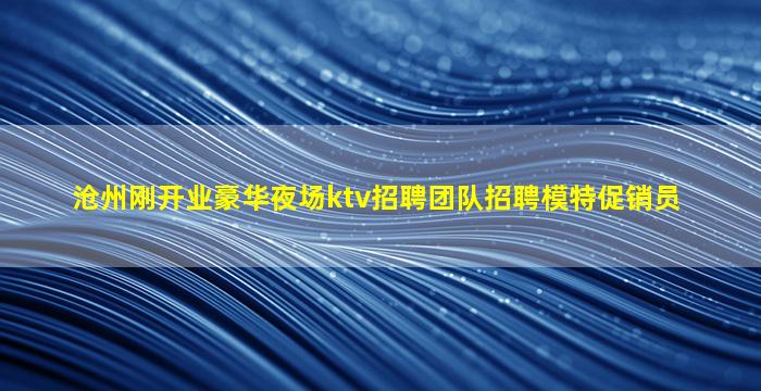 沧州刚开业豪华夜场ktv招聘团队招聘模特促销员